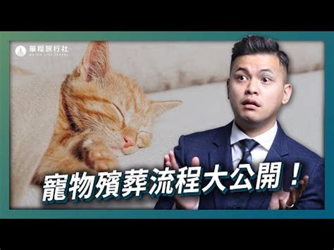 小動物死掉怎麼處理